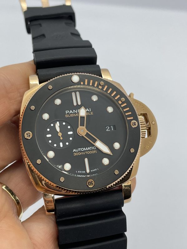 Panerıa E2