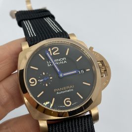 Panerıa E11